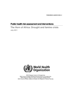 Public health risk assessment and interventions The Horn of Africa