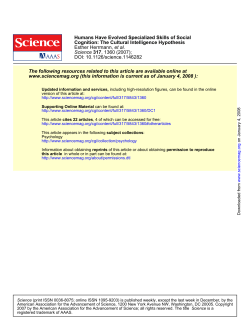 The cultural intelligence hypothesis