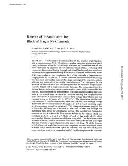 Kinetics of 9-Aminoacridine Block of Single Na Channels