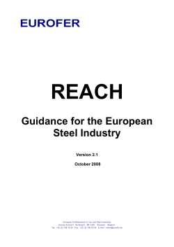 REACH Guidance for the European Steel Industry