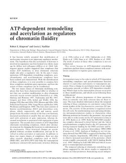 ATP-dependent remodeling and acetylation as regulators of