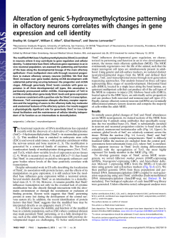Alteration of genic 5-hydroxymethylcytosine patterning