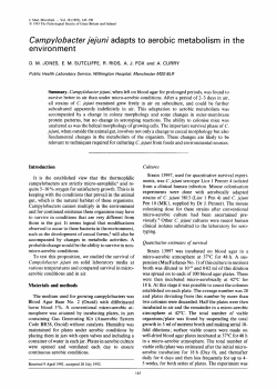 Campy/obacter jejuni adapts to aerobic metabolism in the environment