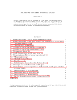 Contents 1. Preliminaries on the Cones of Ample and Effective