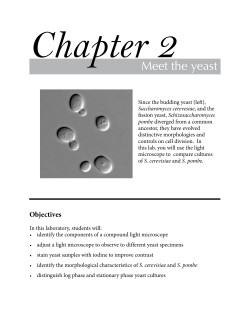 Chapter 2