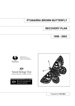 Ptunarra Brown Butterfly Recovery Plan