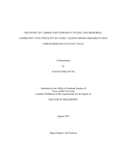 Recovery of Carbon and Nitrogen Cycling and Microbial Community