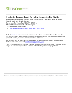 Investigating the causes of death for wind turbine