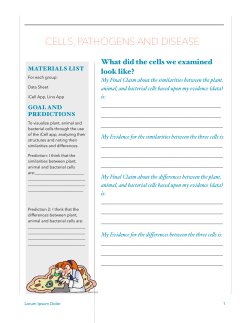 Data Sheet Mini-Cycle 1 Scaffold.pages
