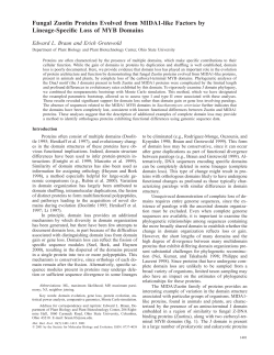 Fungal Zuotin Proteins Evolved from MIDA1-like