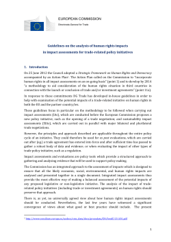 Guidelines on the analysis of human rights impacts in impact