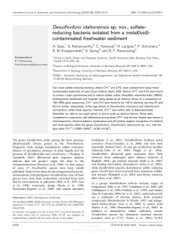 Desulfovibrio idahonensis sp. nov., sulfate