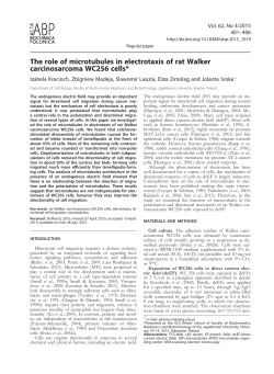 The role of microtubules in electrotaxis of rat Walker carcinosarcoma