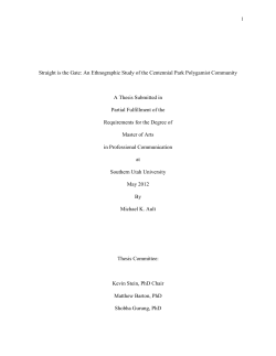 Straight is the Gate: An Ethnographic Study of the Centennial Park