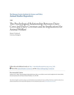 The Psychological Relationship Between Dairy Cows and Dairy