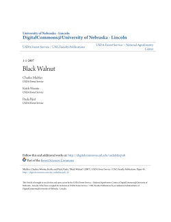 Black Walnut - DigitalCommons@University of Nebraska