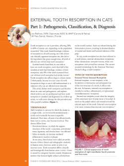 ExtErnal tooth rEsorption in Cats Part 1