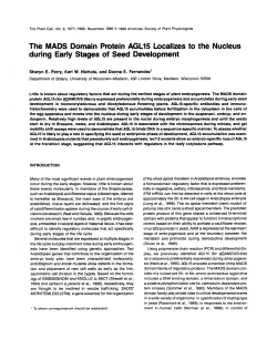 The MADS Domain Protein AGL15 Localizes to the Nucleus during
