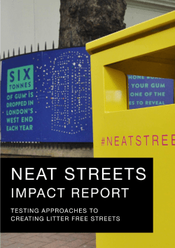 Neat Streets I Impact report