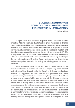 cHallenging iMPuniTY in DoMesTic courTs