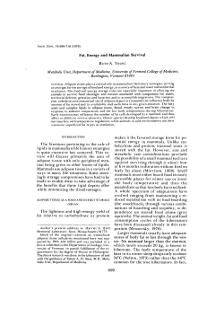 Fat, Energy and Mammalian Survival The literature pertaining to the