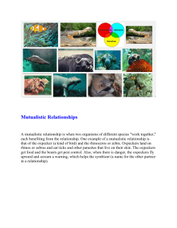 Mutualistic Relationships