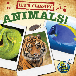 Let`s Classify Animals