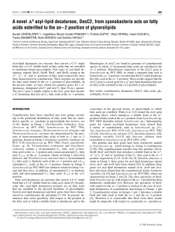 A novel 9 acyl-lipid desaturase, DesC2, from cyanobacteria acts on