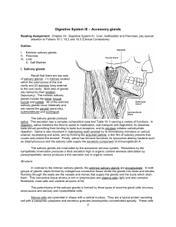 Digestive System III