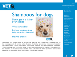 Malassezia - Veterinary Prescriber