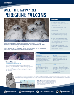 Details - New NY Bridge