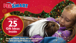 Gift Ideas Inside