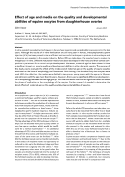 Onderzoeksverslag - Ellen Vasse