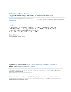 MISSING CATS, STRAY COYOTES