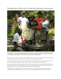 9/16 - Wetland park offers mix of fresh and saltwater ecosystems