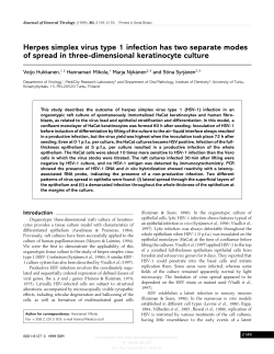 Herpes simplex virus type 1 infection has two separate modes of