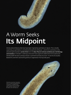A Worm Seeks Its Midpoint - Max-Planck