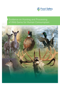 Guidance on Hunting and Processing of Wild Game for Human