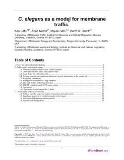 C. elegans as a model for membrane traffic