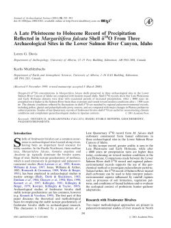 A Late Pleistocene to Holocene Record of Precipitation Reflected in