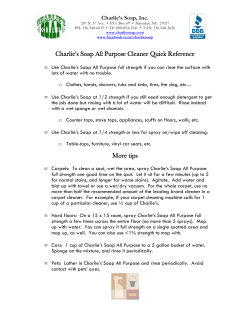 Charlie`s Soap All Charlie`s Soap All Purpose Cleaner Quick