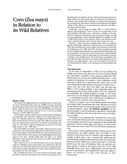 Corn (Zea mays) in Relation to its Wild Relatives