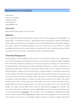 Synonyms Definition Theoretical Background