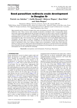 Seed parasitism redirects ovule development in Douglas fir