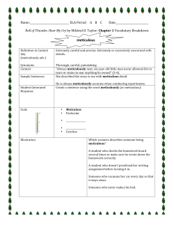 meticulous - Annie Sullivan Middle School