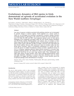Evolutionary dynamics of Rh2 opsins in birds demonstrate an
