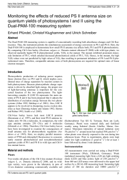 Monitoring the effects of reduced PS II antenna size on quantum