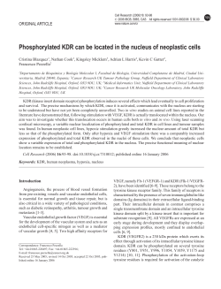 Phosphorylated KDR can be located in the nucleus of