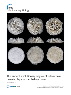 The ancient evolutionary origins of Scleractinia