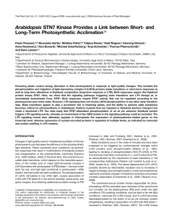 Arabidopsis STN7 Kinase Provides a Link between